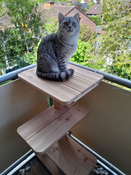 Wetterfester Balkonsitz Outdoor Katzen Hochsitz MILO für den Balkon